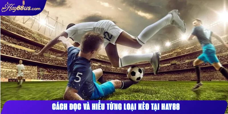 Cách đọc và hiểu từng loại kèo tại Hay88