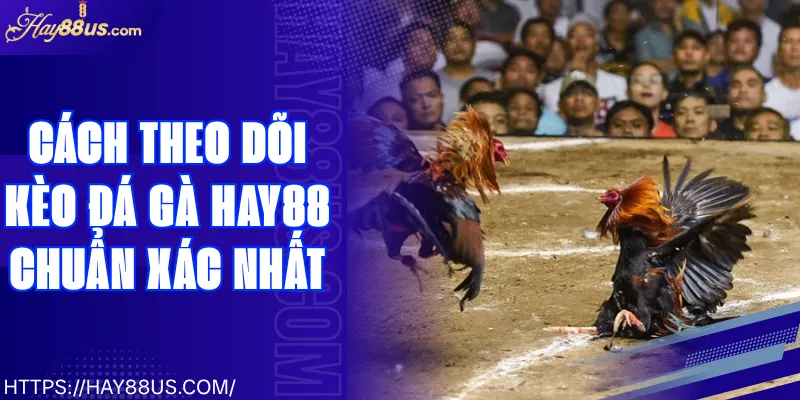 Cách Theo Dõi Kèo Đá Gà Hay88