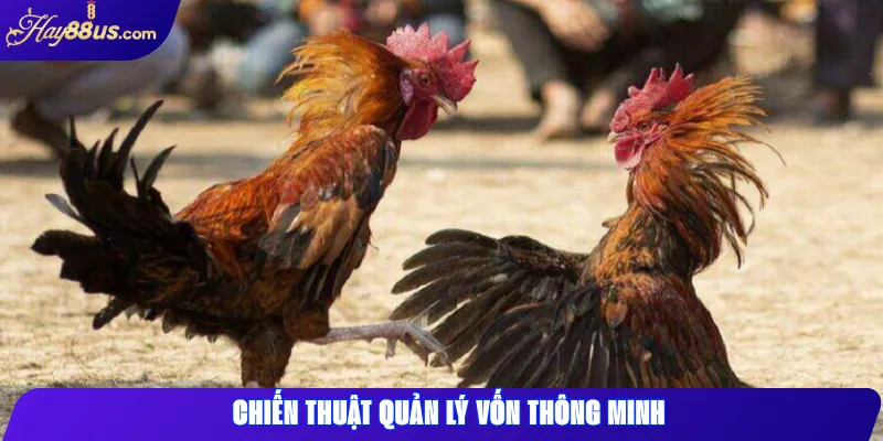 Chiến thuật quản lý vốn thông minh