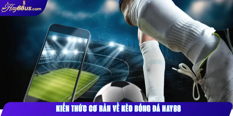 Kiến thức cơ bản về kèo bóng đá Hay88
