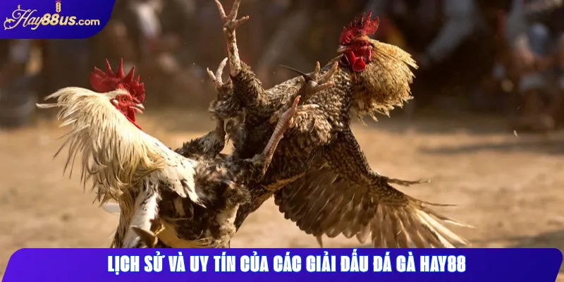 Lịch sử và uy tín của các giải đấu đá gà Hay88