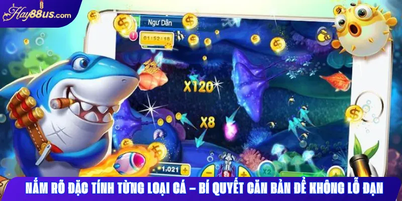 Nắm rõ đặc tính từng loại cá – Bí quyết căn bản để không lỗ đạn