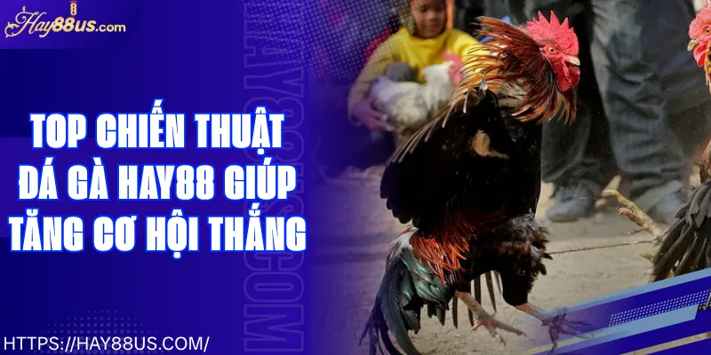 Top Chiến Thuật Đá Gà Hay88